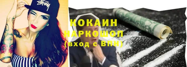 мет Бородино