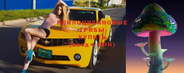 мет Бородино