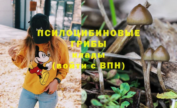 мет Бугульма