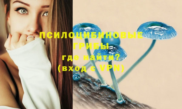 хмурый Бронницы